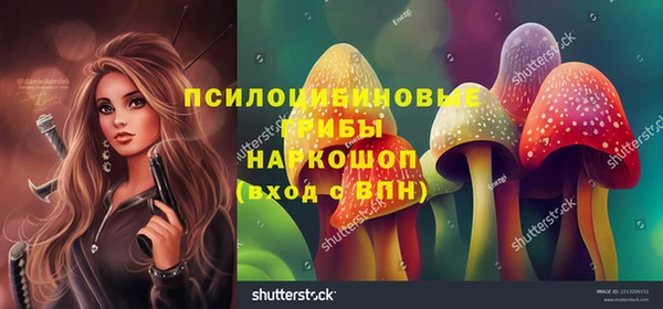 МДПВ Алзамай