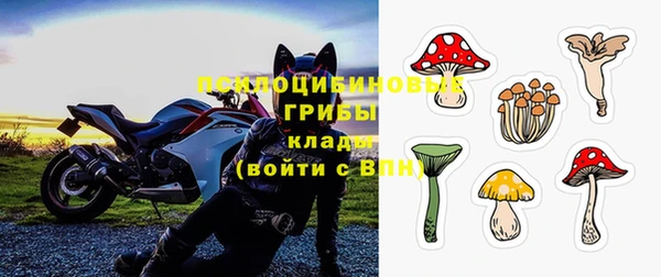 шишки Алексин